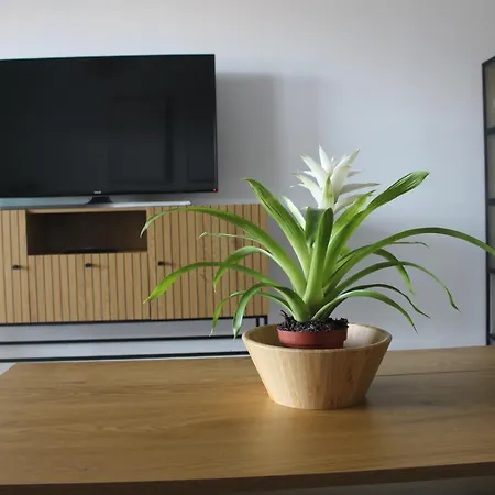 Lezzo Apartment
